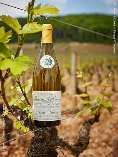 Louis Latour : Meursault 1er cru 