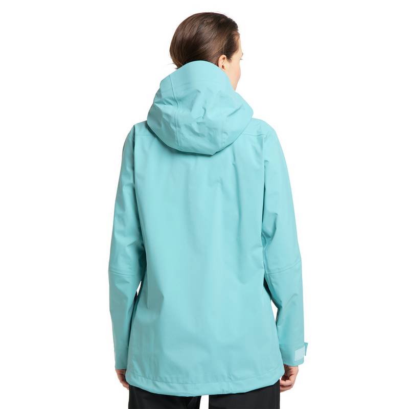 Haglöfs Dalskidan GTX Jacket Hardshelljacke Damen