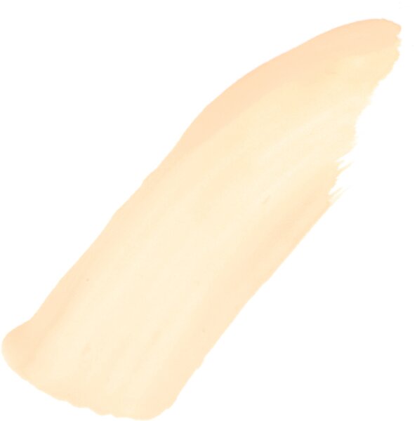 L'Oréal Paris Perfect Match Concealer
