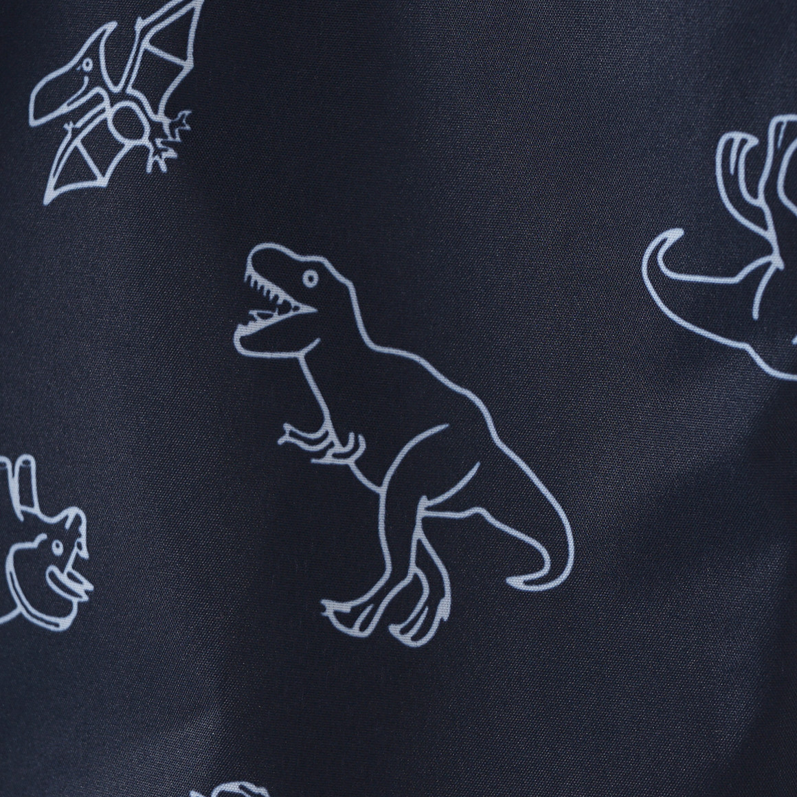 Jungen Regenhose mit Dino-Allover