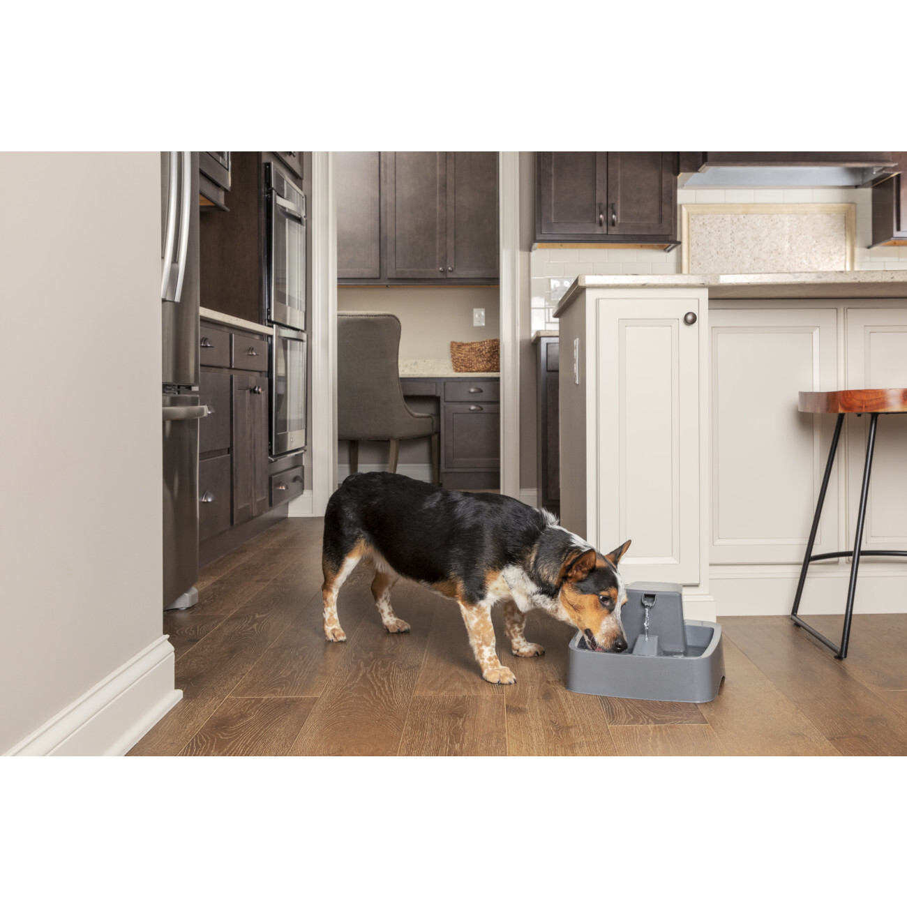 PetSafe Trinkbrunnen PetSafe Trinkbrunnen 3,7 l