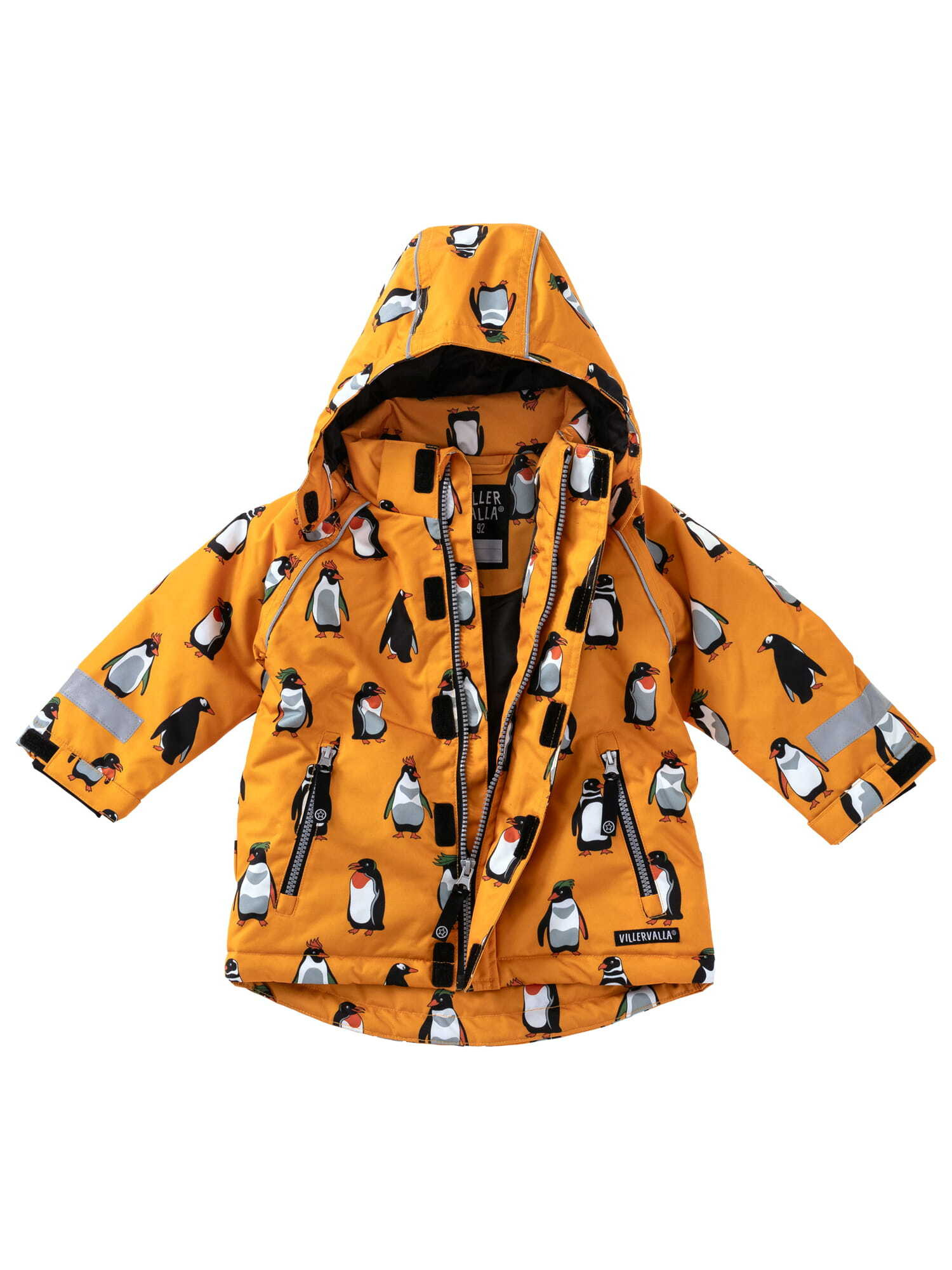 Winter Jacket