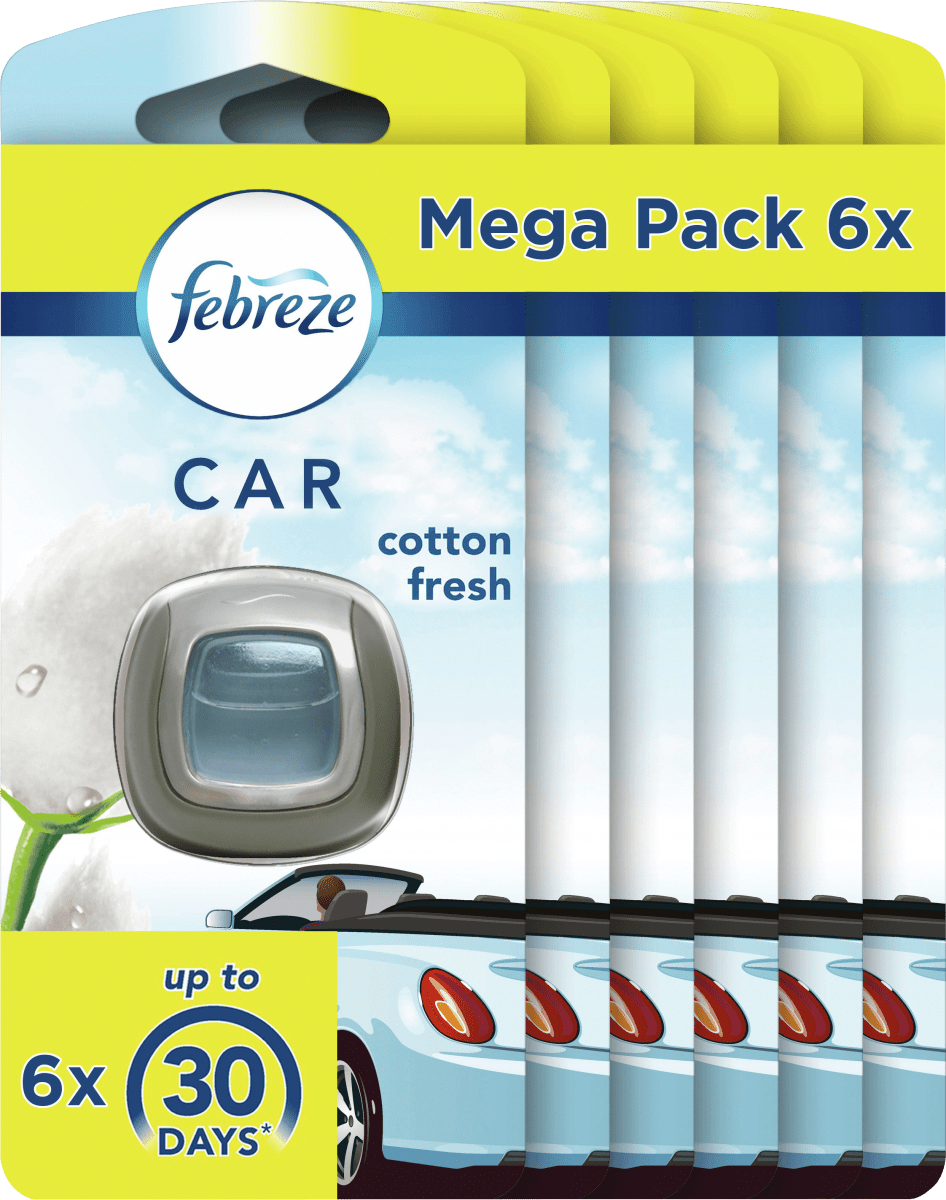 Lufterfrischer Car Reine Frische 6er Pack, 12 ml