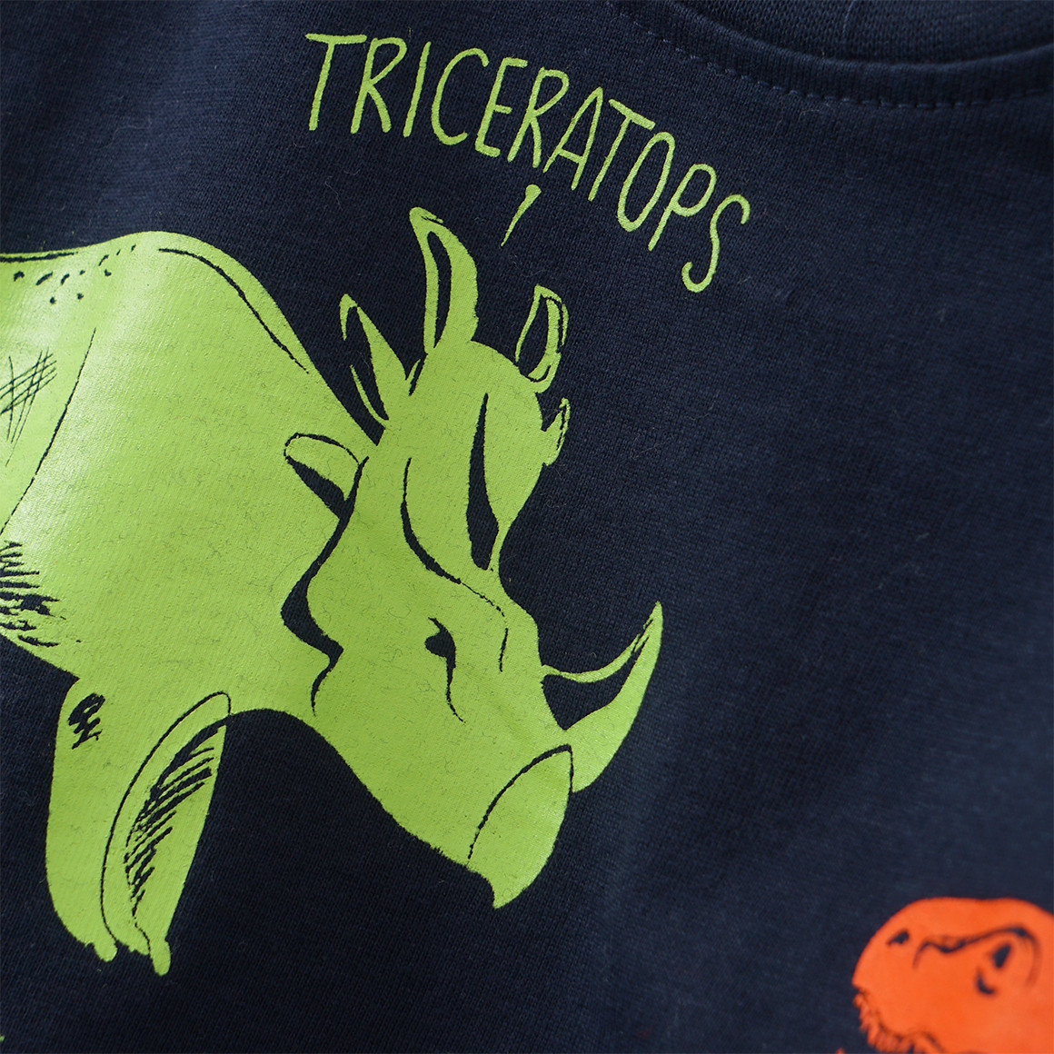 Baby Langarmshirt mit Dino-Print