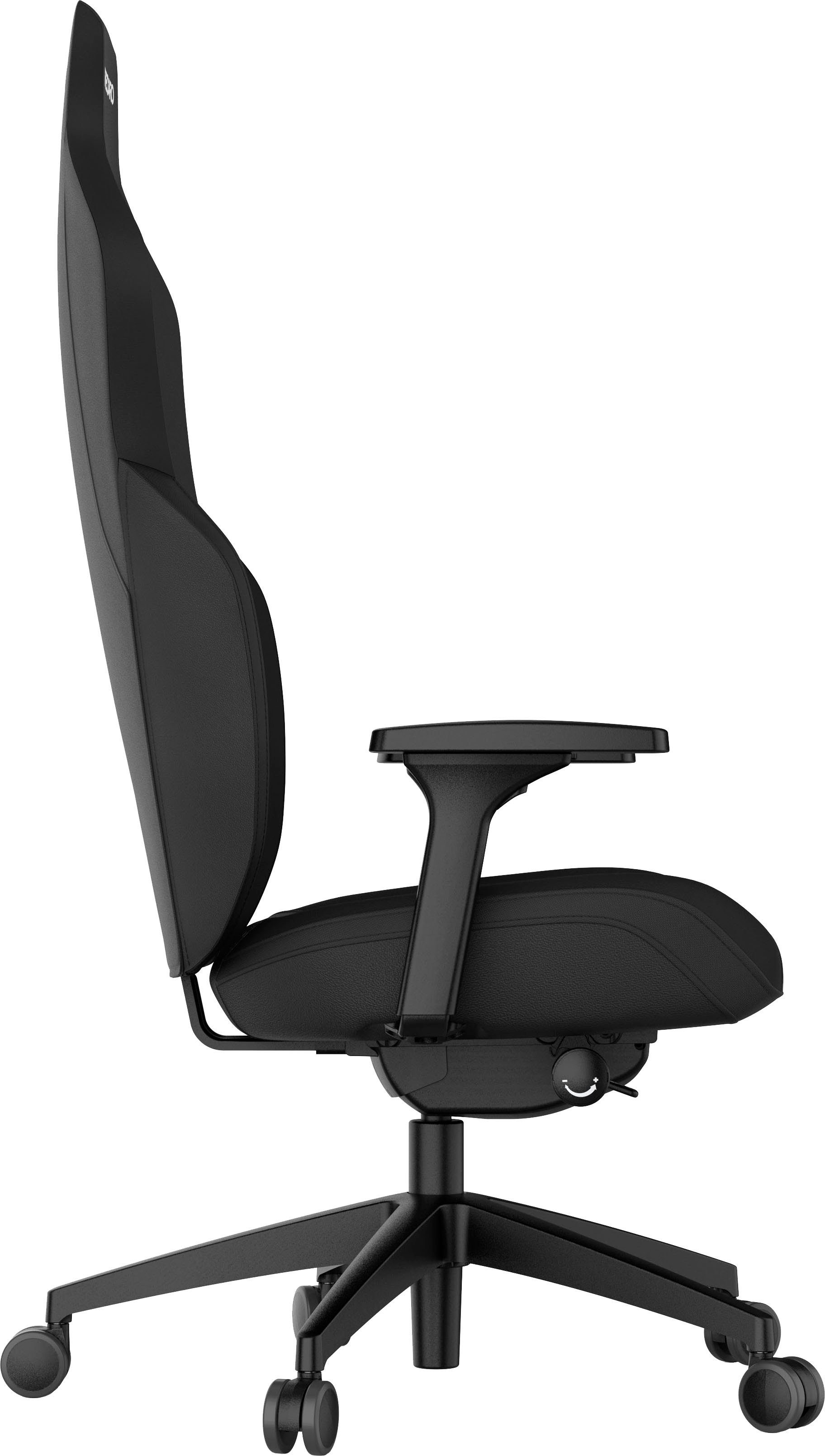 RECARO Gaming-Stuhl Rae Essential
