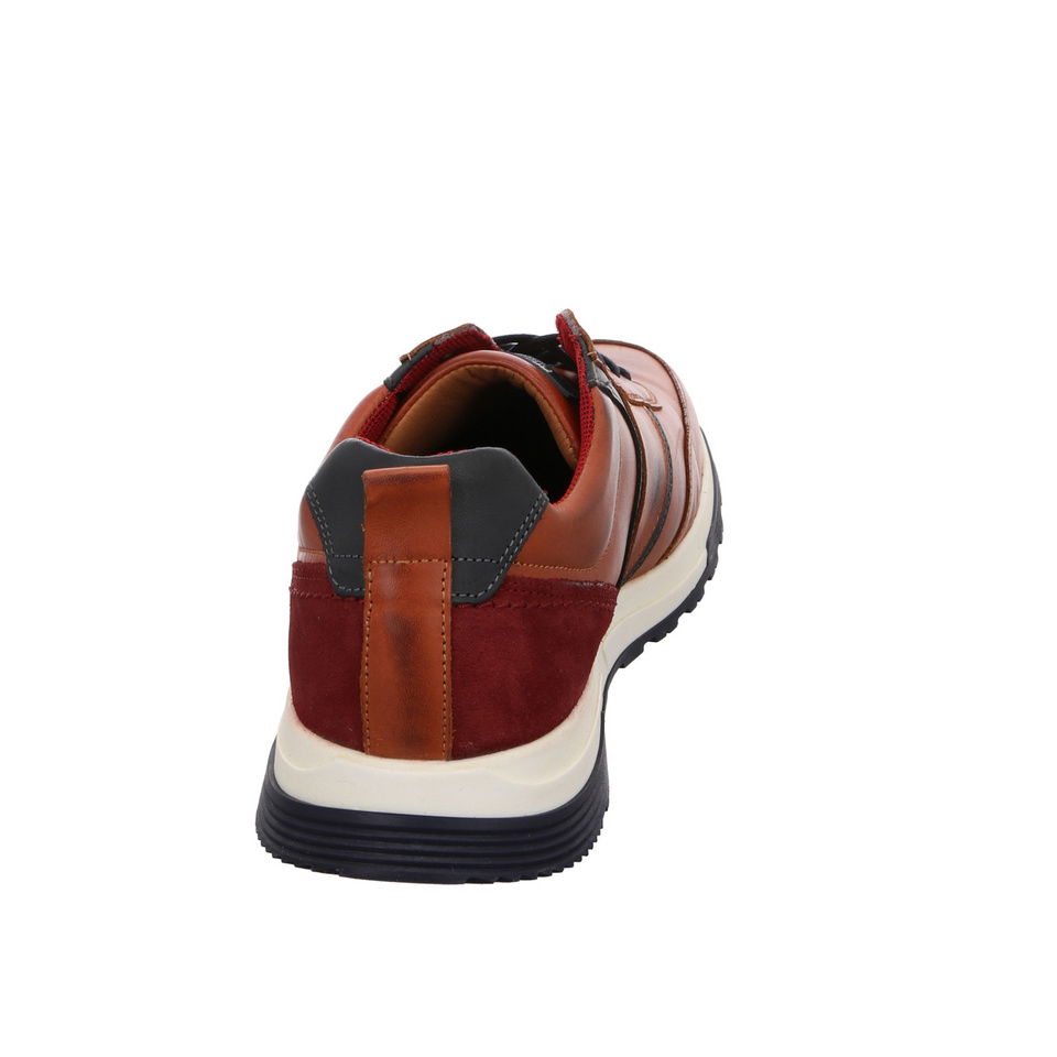 SALAMANDER Dayman Sneaker