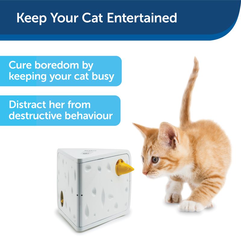 PetSafe Automatisches Katzenspielzeug Cheese