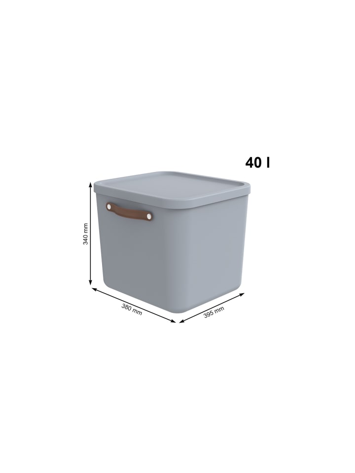 Rotho Aufbewahrungsbox mit Deckel 40 l MALOJA in Misty blau günstig kaufen onesize