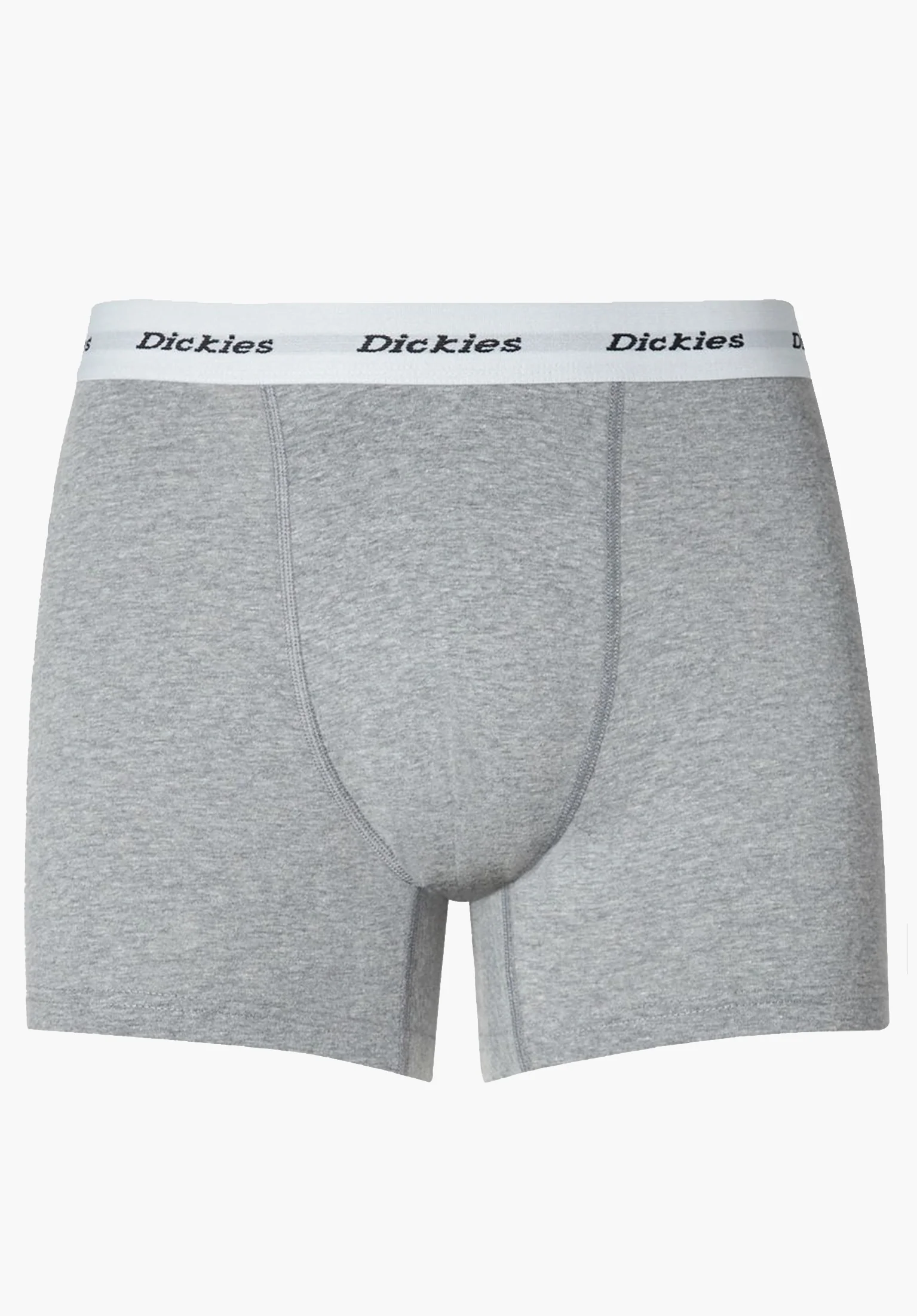 Dickies 2 Pack Trunks