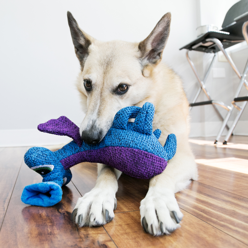 KONG Kuscheltiere KONG Woozles blau