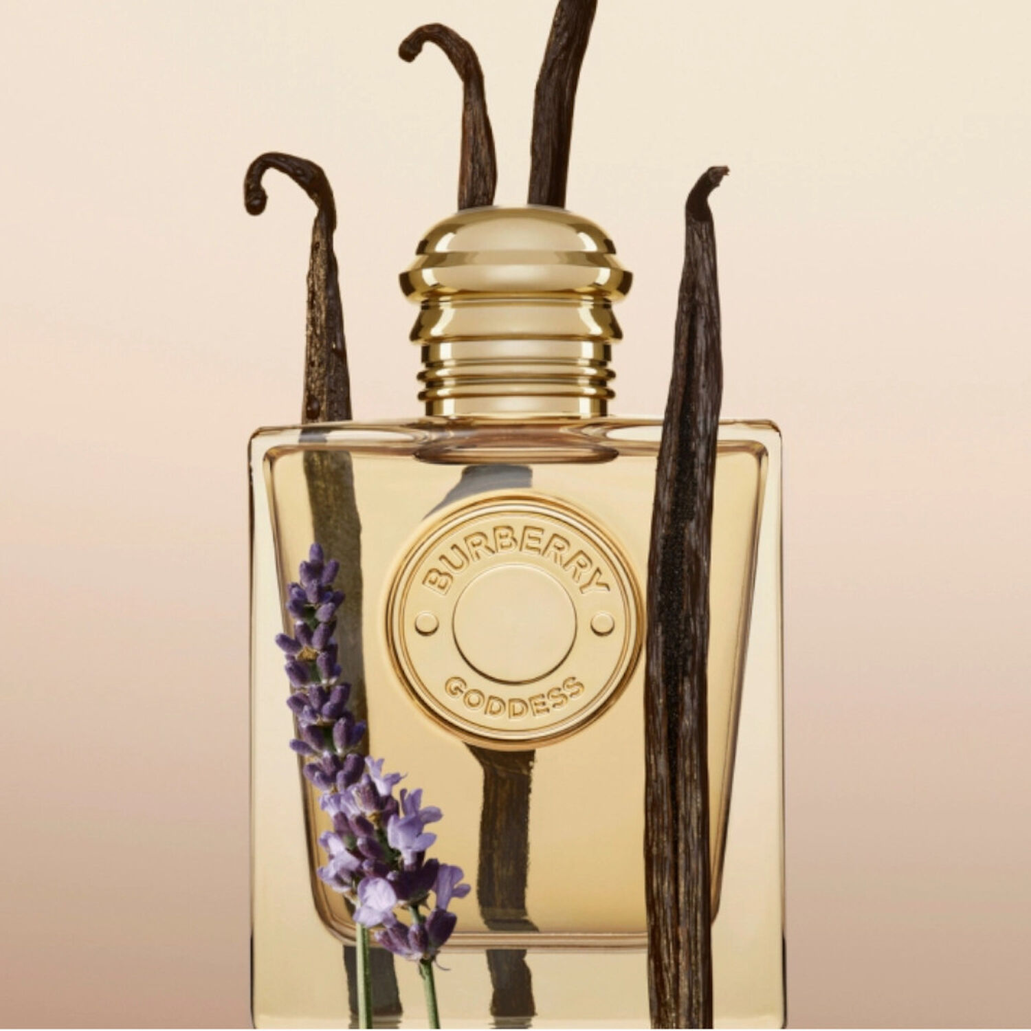 Burberry Goddess coffret Eau de Parfum 50 ml + Lotion Corps 75 ml