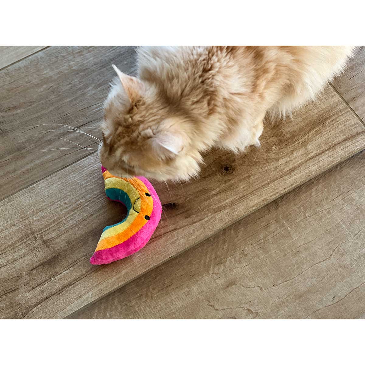 Aumüller Katzenspielkissen Regenbogen günstig kaufen