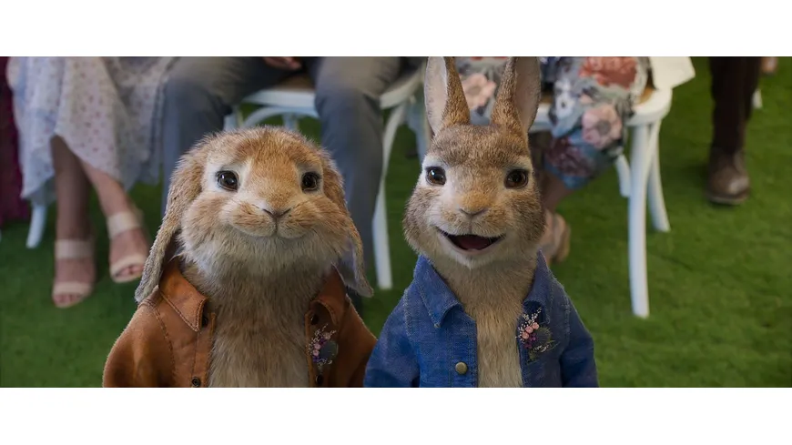 Peter Hase 2 - Ein Hase macht sich vom Acker