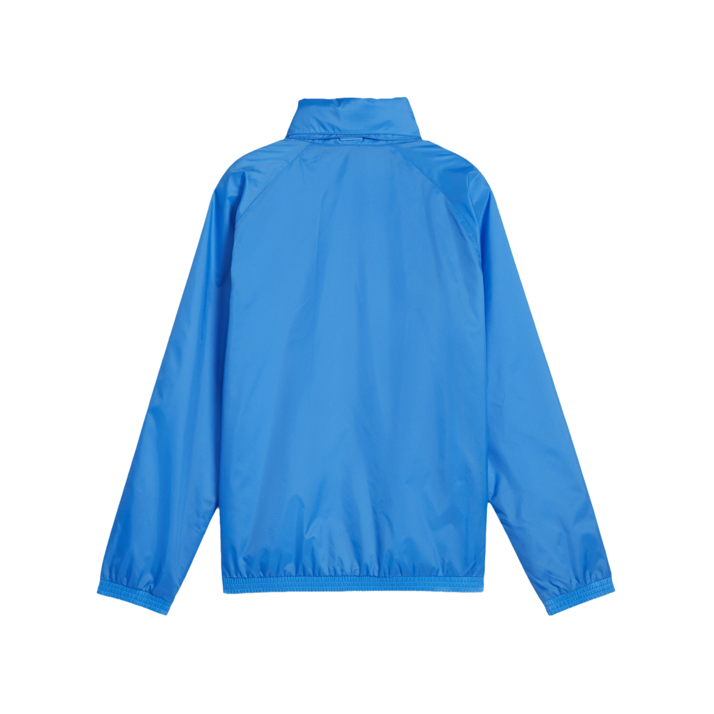 PUMA teamGOAL Allwetterjacke Kids Blau Weiss F02