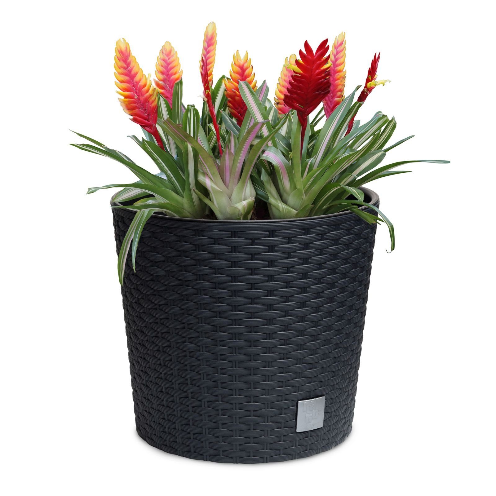 astor24 Blumentopf 2x Blumentopf Rattan Blumenkübel Pflanzentopf (Blumentopf Garten Balkon Blumen Topf Kräutertopf, 2 Blumentöpfe), Durchmesser 20 cm - 2 Blumentöpfe - hochwertig verarbeitet - mit Wasserüberlauf - fertig montiert