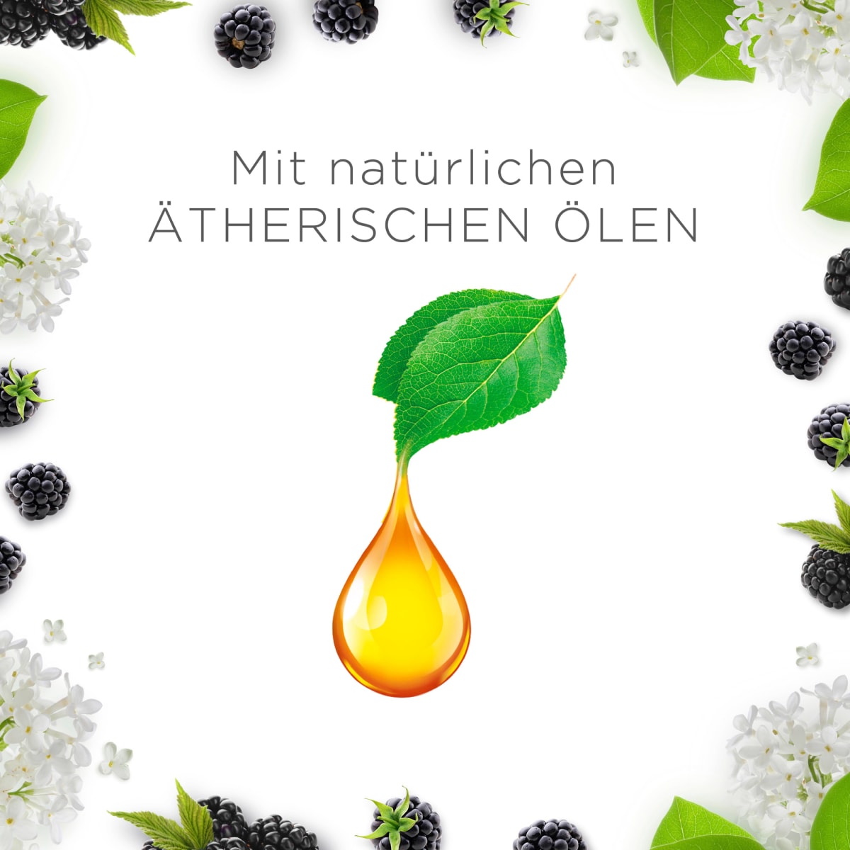 Duftkerze im Glas Brombeere & Holunderblüte (2x105 g), 2 St