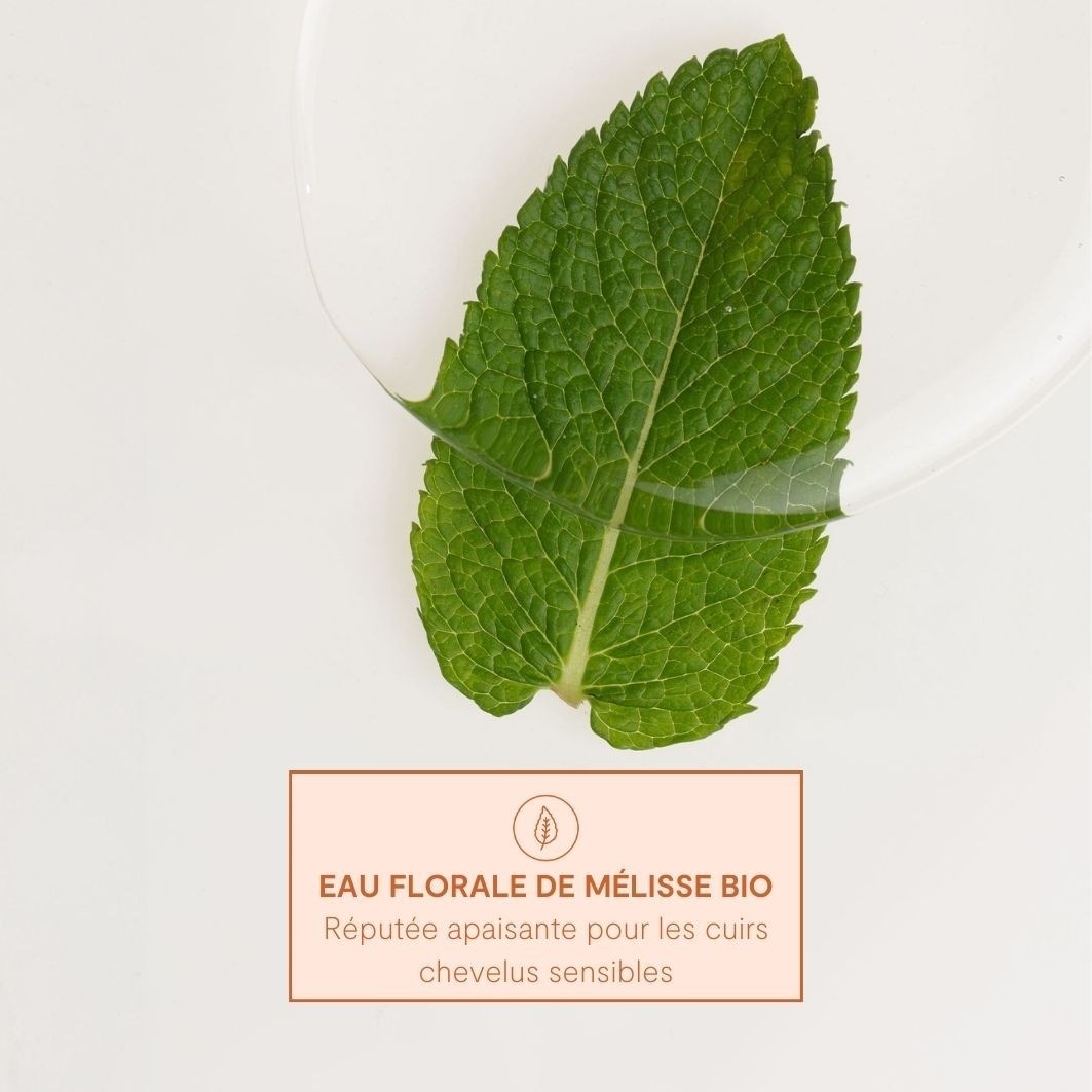 Shampoo nutriente Lao