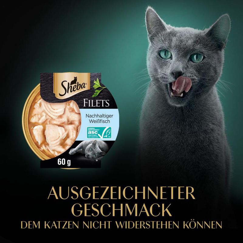 Sheba Filets 16 x 60 g zu TOP-Preisen