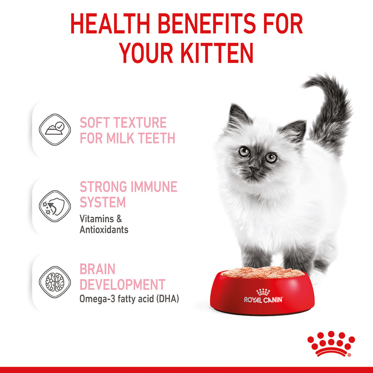 ROYAL CANIN KITTEN Nassfutter in Mousse für Kätzchen bei ZooRoyal