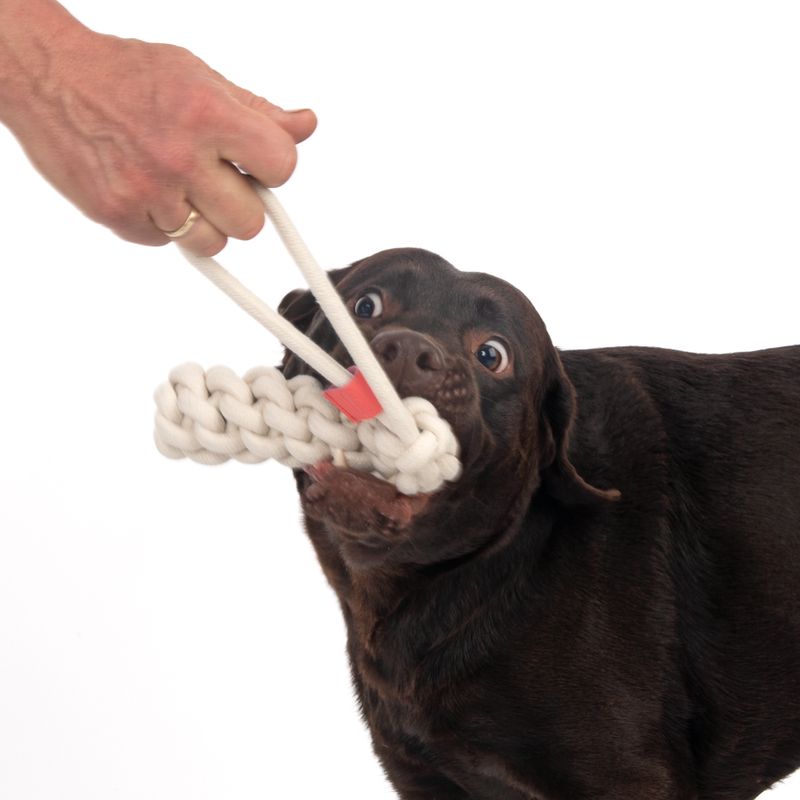 TIAKI Hundespielzeug Rope Stick zu TOP-Preisen