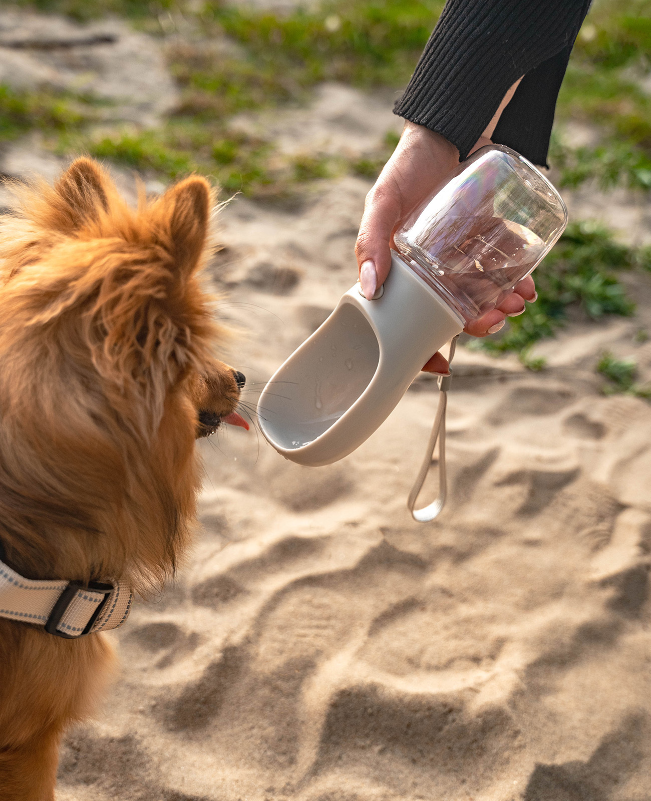 Lionto Trinkflaschen Lionto Hundetrinkflasche für Unterwegs