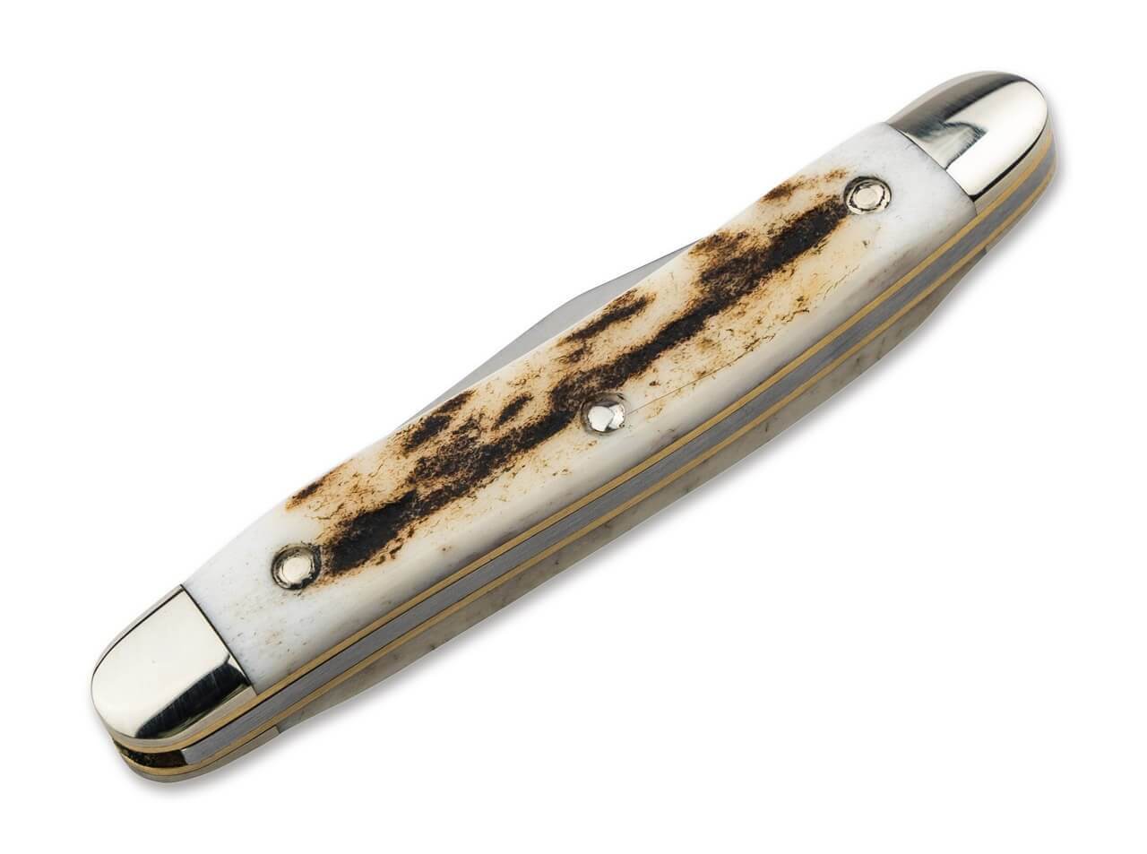 Pocket Knife Stag