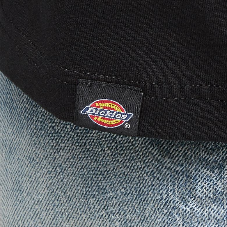Dickies Raven Tee Short Sleeve Black schwarz