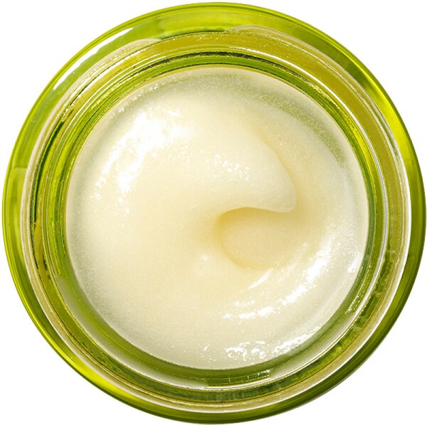 Origins Drink Up Nourishing Avocado Lip Butter Lippenbalsam