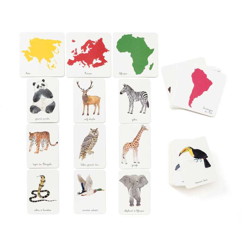 Livre Mon coffret Montessori des animaux - Nathan Jeunesse