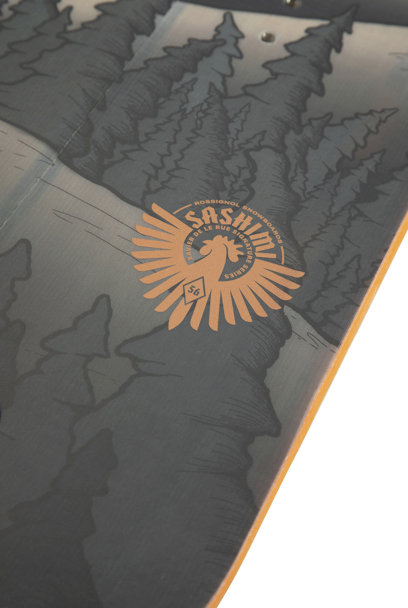 Splitboard XV SASHIMI homme