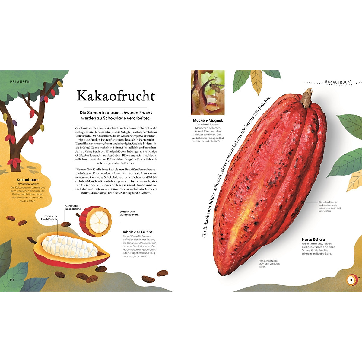 Große und kleine Schätze der Natur