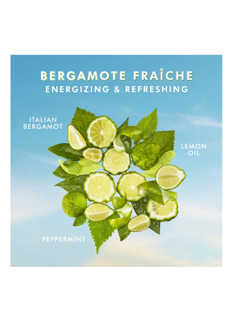 Moroccanoil Body Bergamot Fraiche - ķermeņa losjons