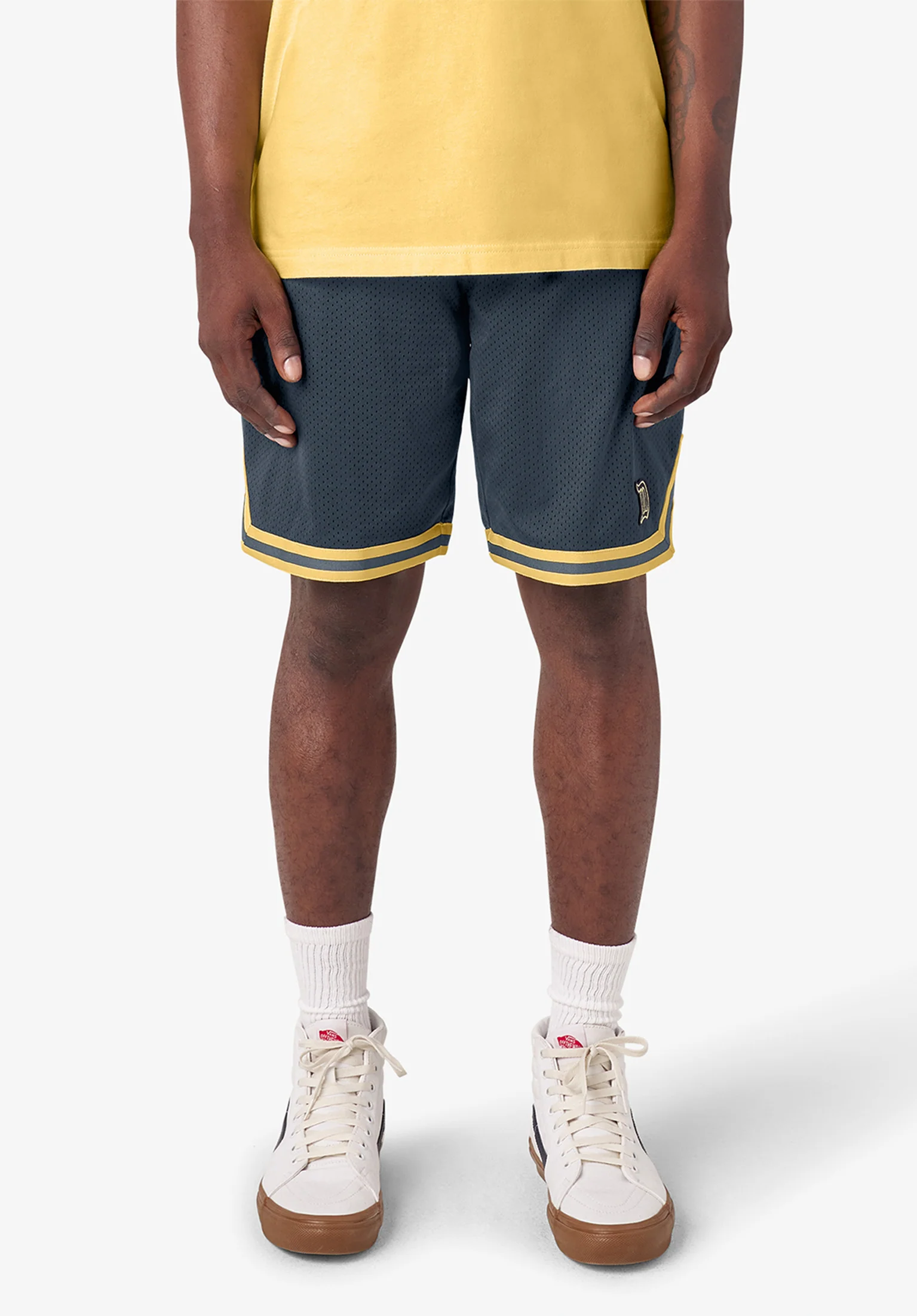 Guy Mariano Mesh