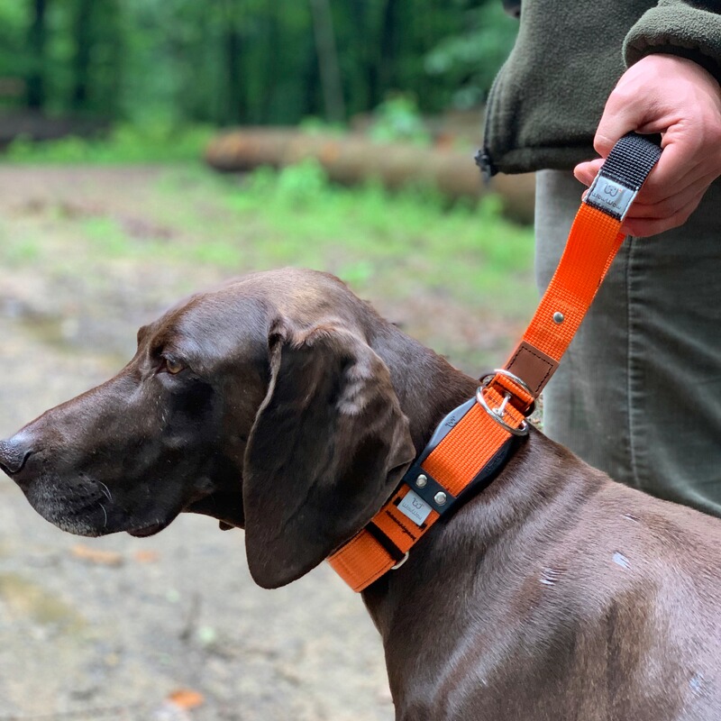 WowWow Hundehalsband Professional