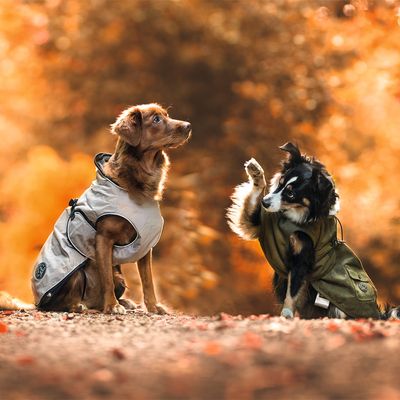 HUNTER Hundemantel Uppsala