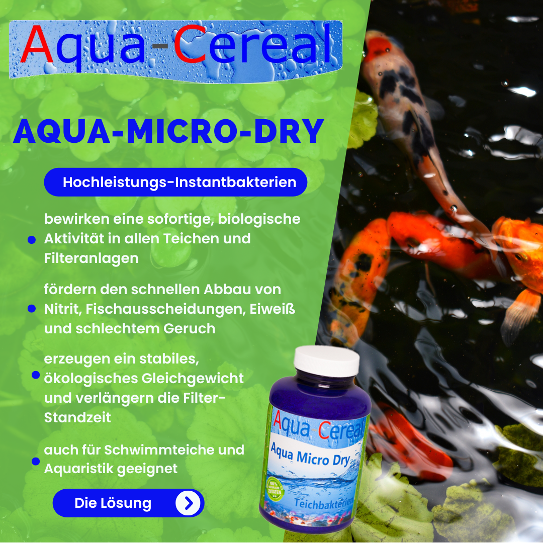 Aqua-Cereal Algenbekämpfung Aqua-Cereal Aqua Micro Dry 500ml