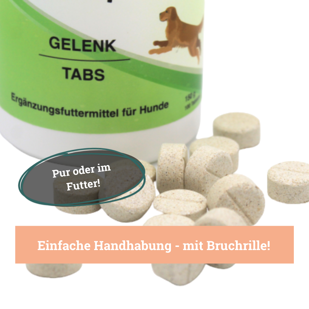 BeG Buddy Ergänzungsfutter & Aufzucht BeG Buddy Gelenk Fit Tabletten Hund