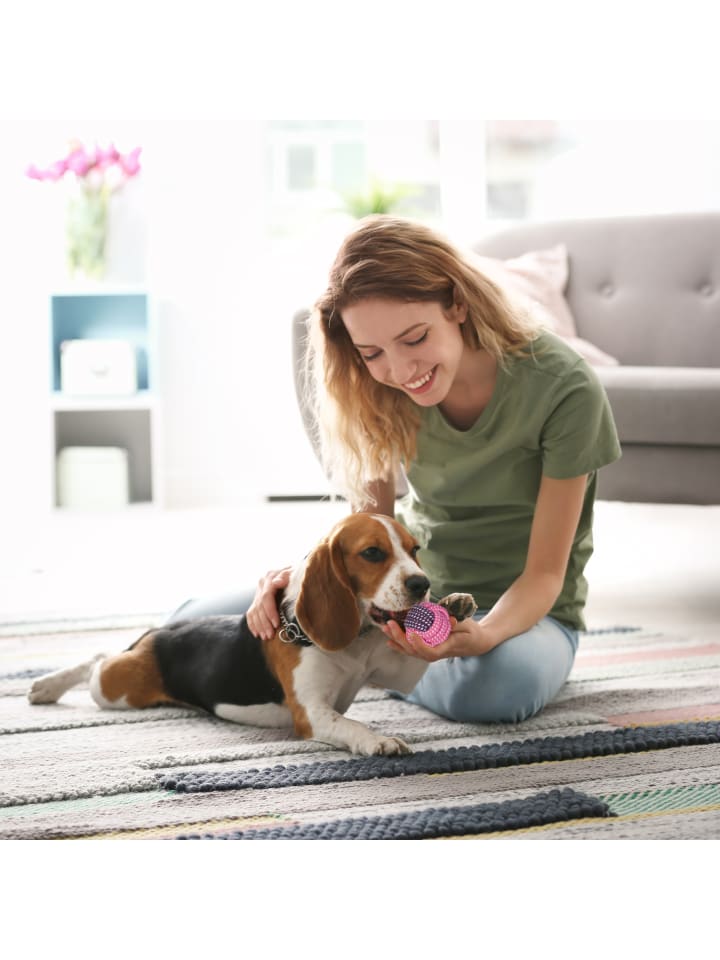 relaxdays 10tlg. Hundespielzeug Set günstig kaufen onesize