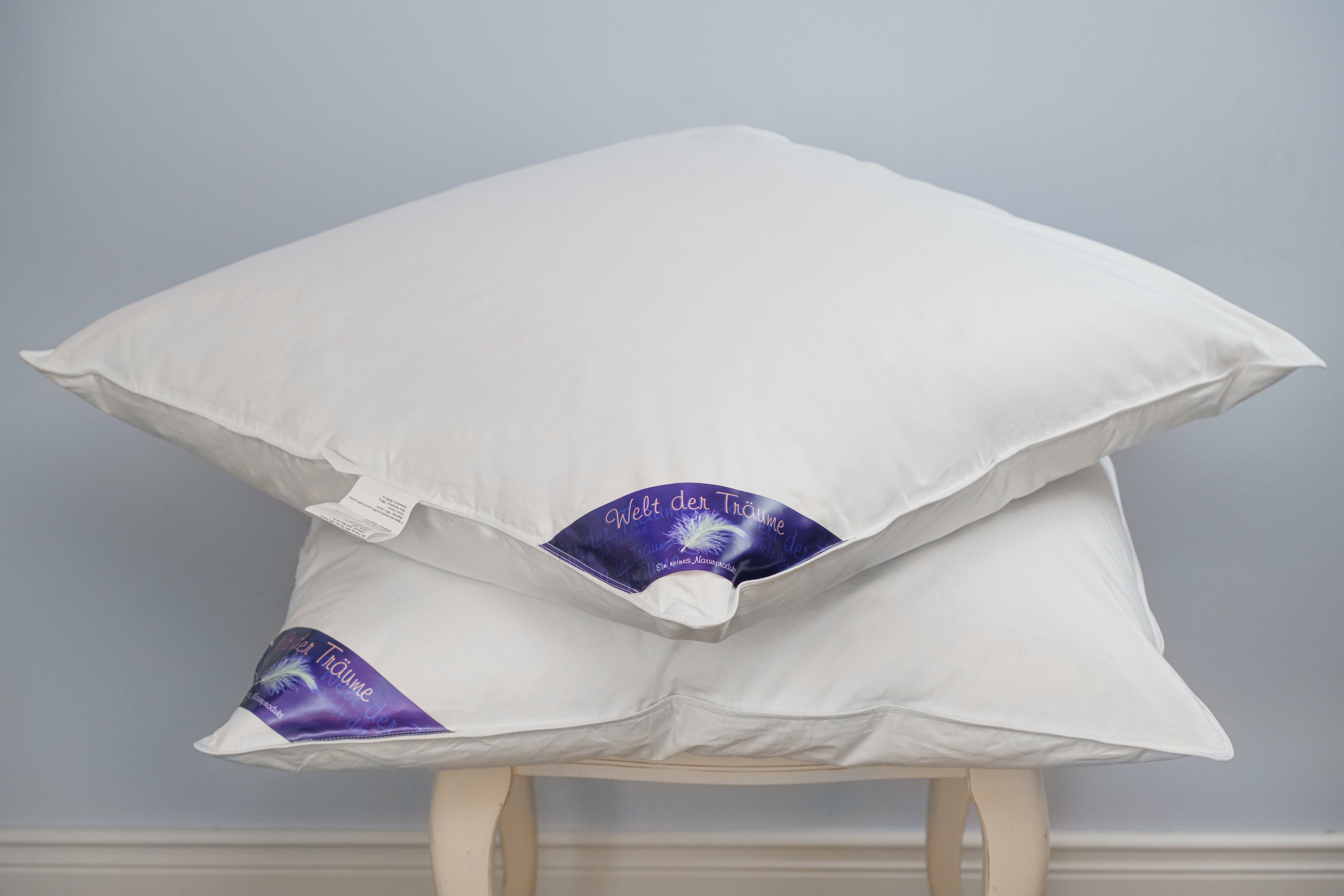 Daunenkissen Daunenkissen Kissen Kopfkissen Federkissen Kinderkissen Daunen Federn DownPillow FeatherPillow 80x80 900 Gr., Welt der Träume, Füllung: 60% Daunen/ 40% Federn, Made in Europe