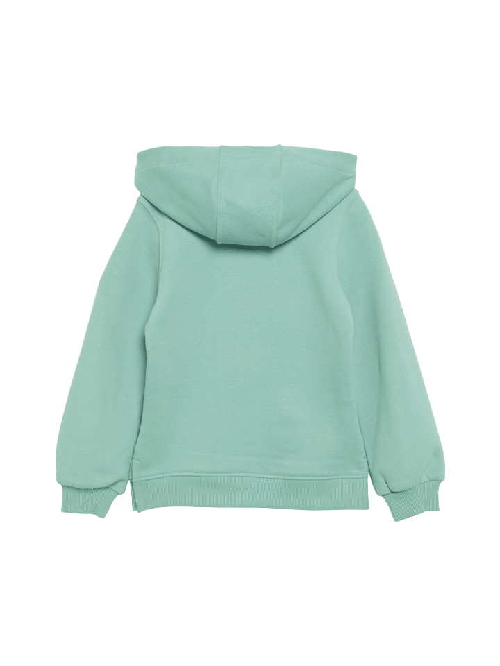 s.Oliver Sweatshirt langarm in Türkis günstig kaufen