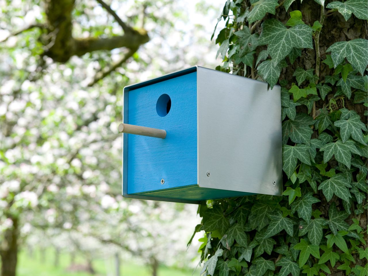 Keilbach Designprodukte Keilbach Nistkasten, Edelstahl, blaue Holzfront
