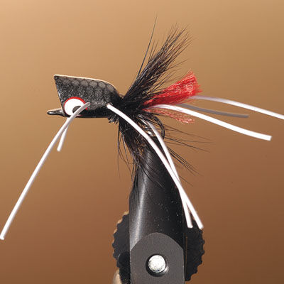 JMC Popper Bass Fly 22 T8