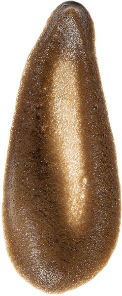 Luna Bronze Total Eclipse Express Tanning Mousse Selbstbräunungsmousse