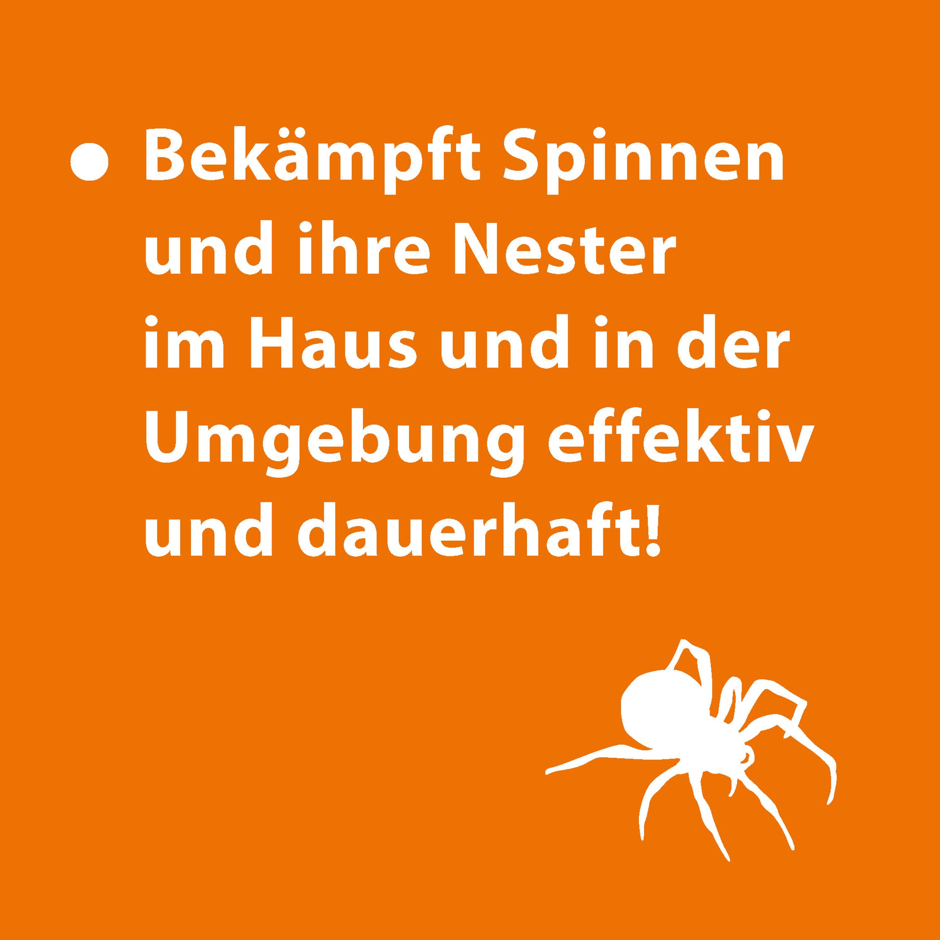 Ardap Insektenspray ARDAP Spinnenspray 400ml