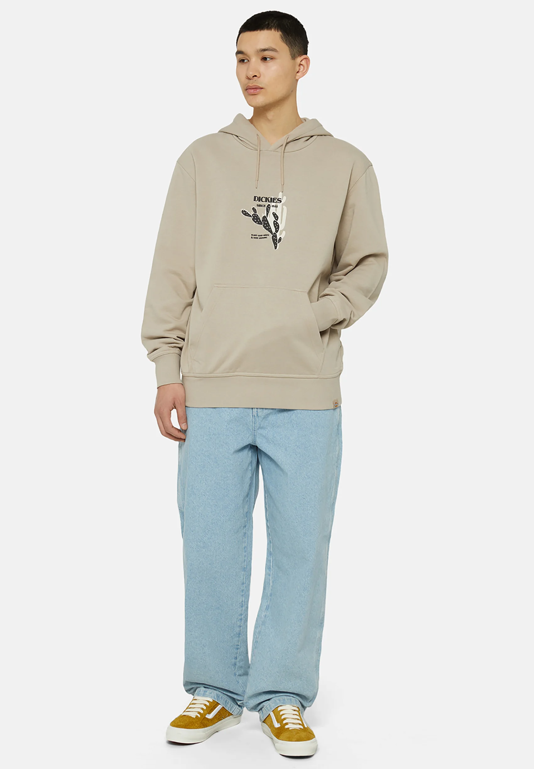Dickies HERNDON - Sudadera con capucha