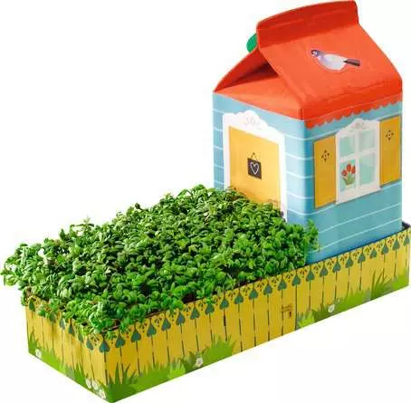 Kleiner Garten - Bastelset für Kinder ab 6 Jahren