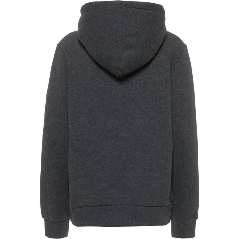 Superdry Vintage Scripted Infill Hoodie Damen