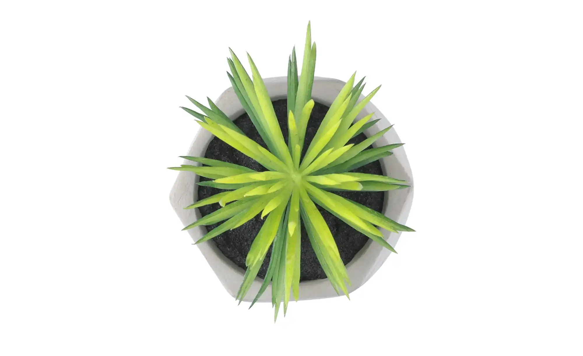 Kunstblume 
