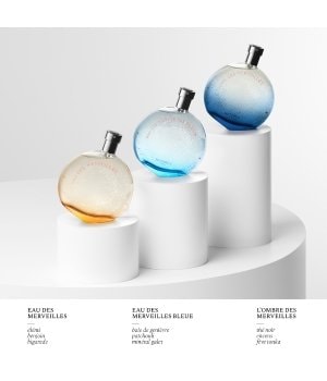 HERMÈS Eau des Merveilles   Eau de Toilette 50 ml