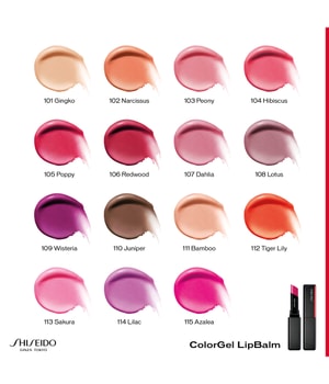 Shiseido ColorGel Lippenbalsam-2 g